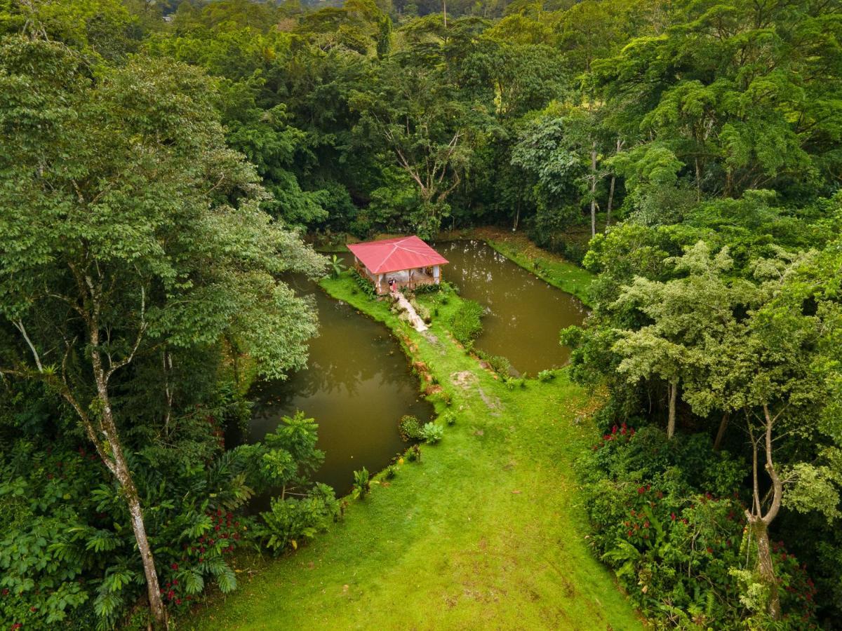 Ara Ambigua Lodge Sarapiquí Exterior foto