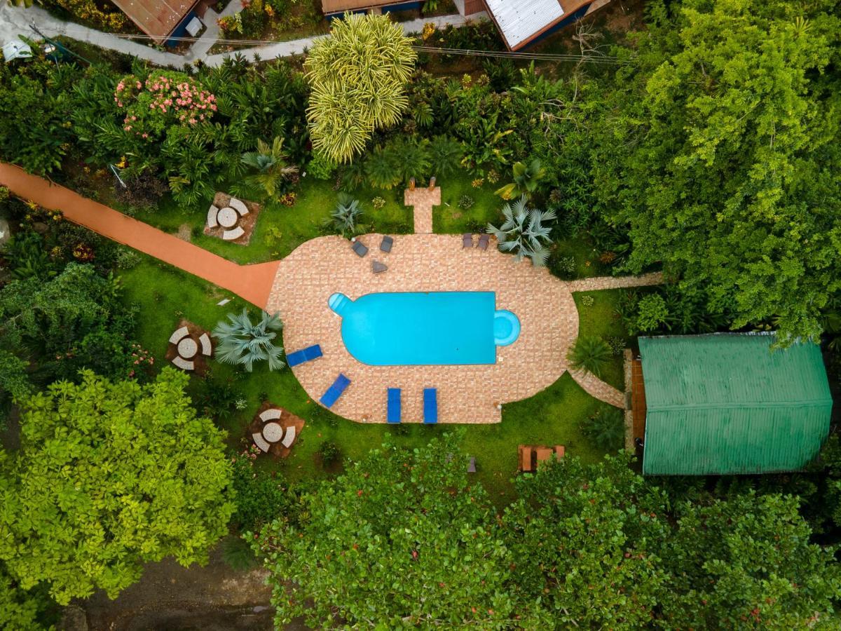 Ara Ambigua Lodge Sarapiquí Exterior foto