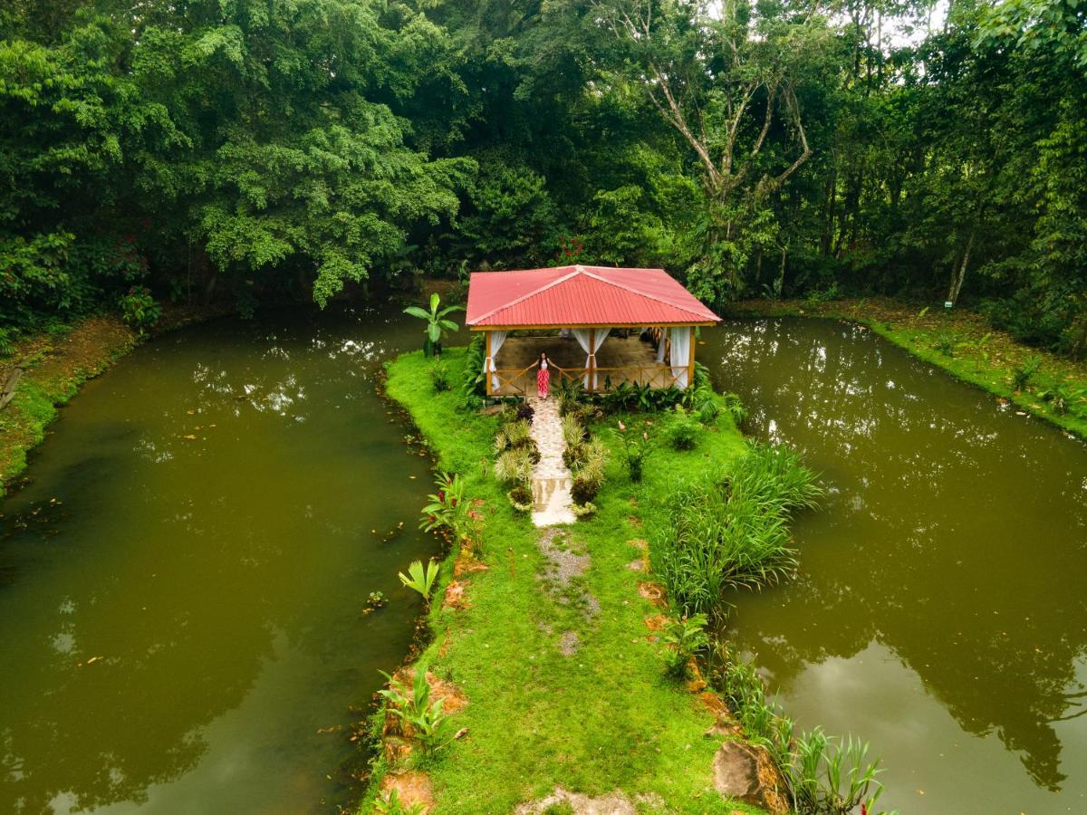 Ara Ambigua Lodge Sarapiquí Exterior foto