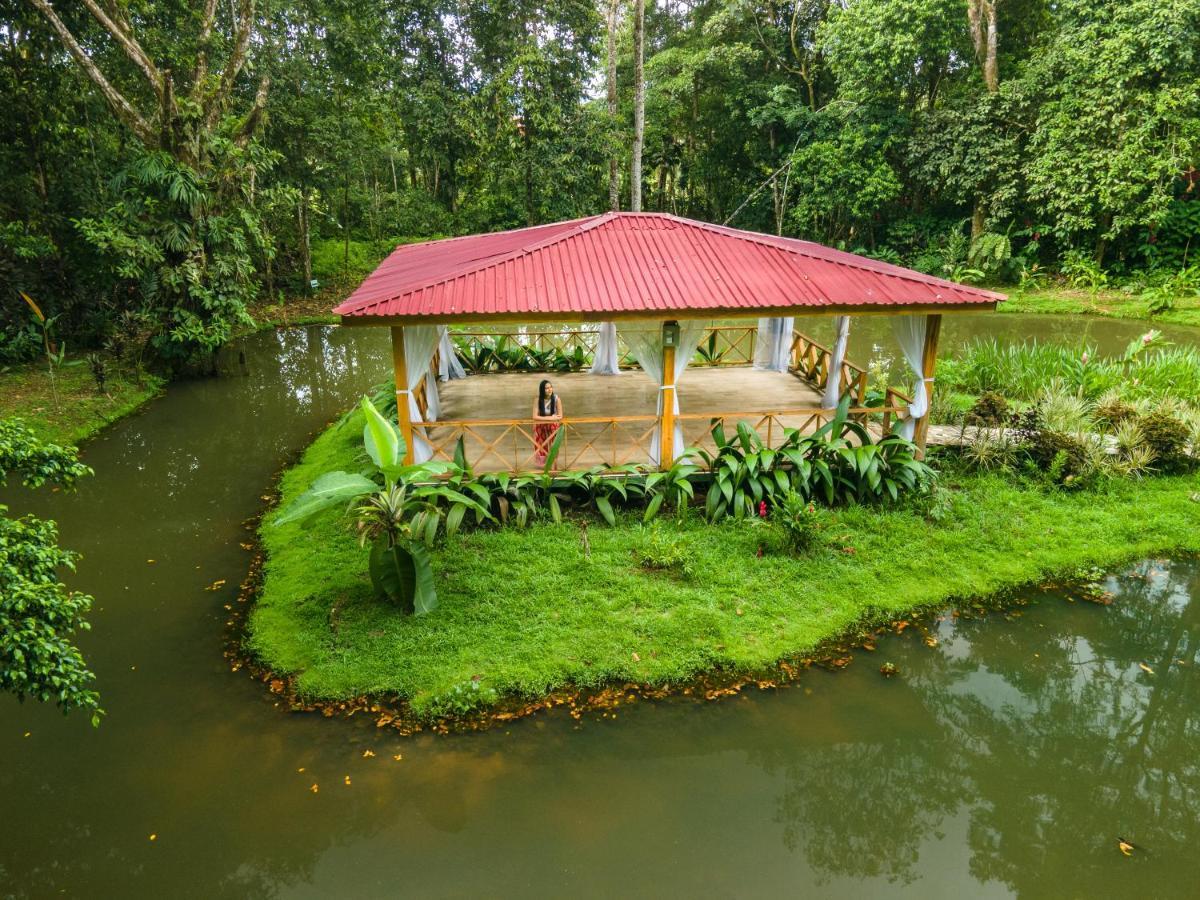 Ara Ambigua Lodge Sarapiquí Exterior foto