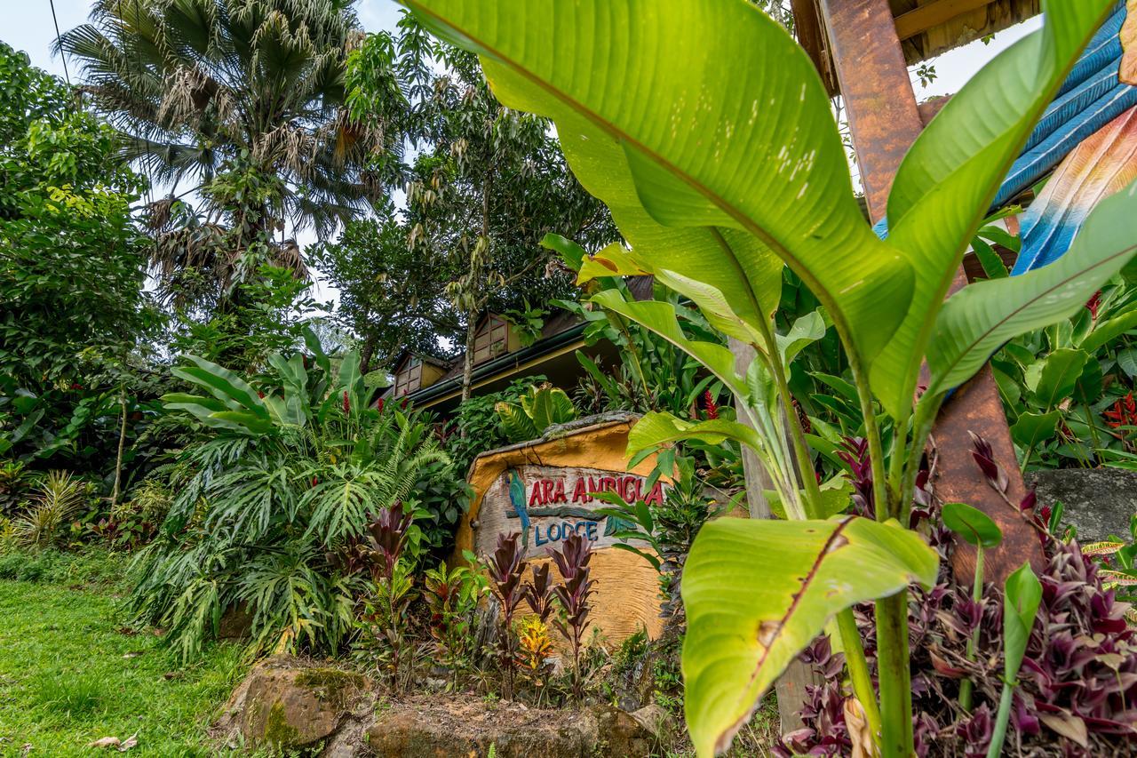 Ara Ambigua Lodge Sarapiquí Exterior foto