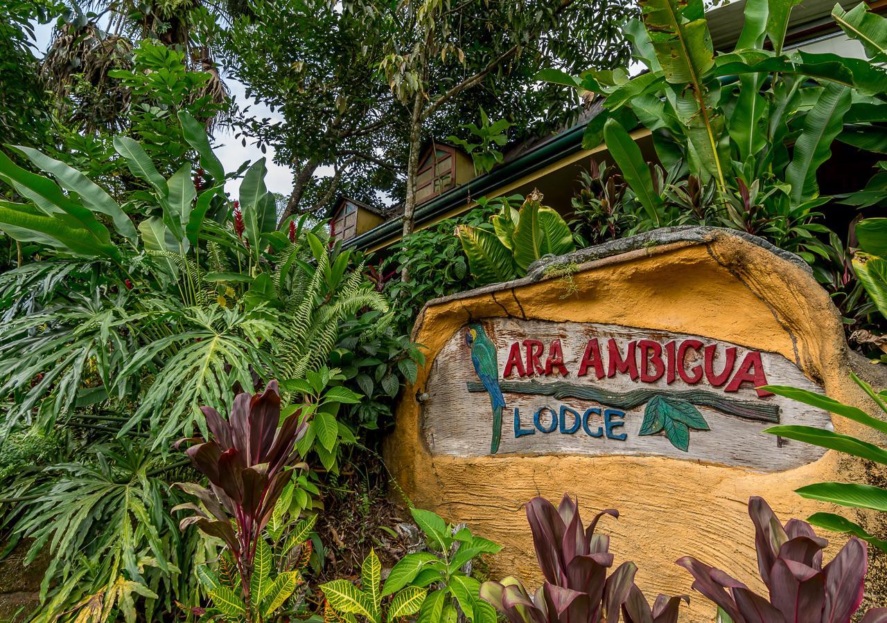 Ara Ambigua Lodge Sarapiquí Exterior foto