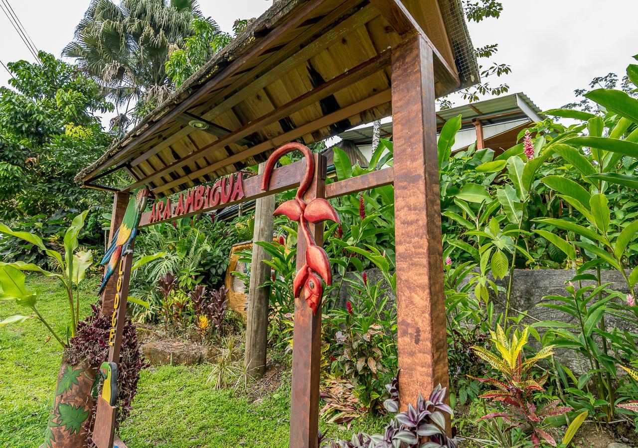 Ara Ambigua Lodge Sarapiquí Exterior foto