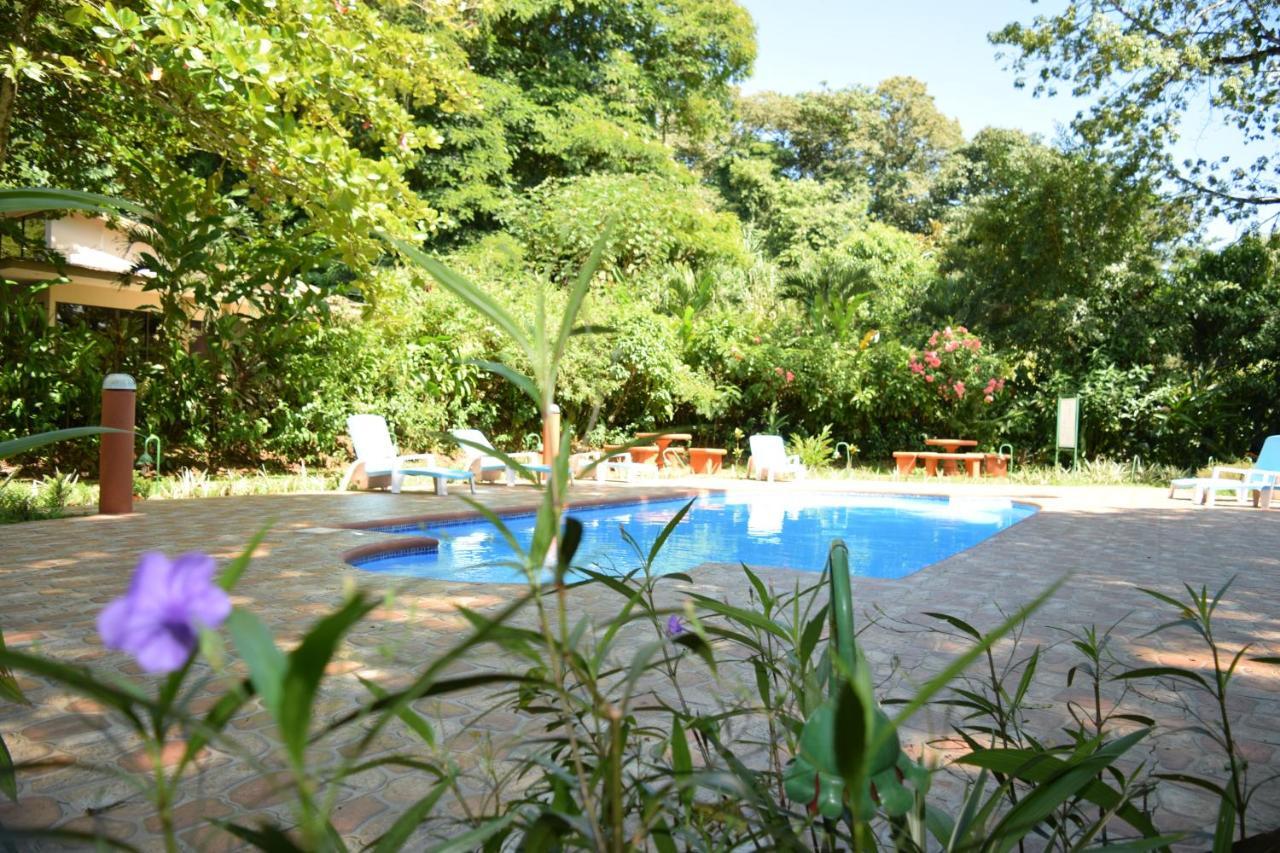 Ara Ambigua Lodge Sarapiquí Exterior foto