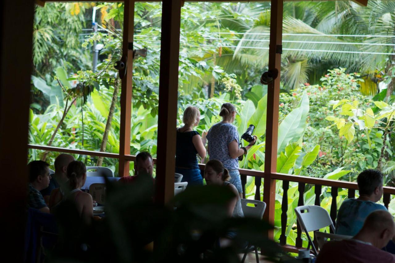 Ara Ambigua Lodge Sarapiquí Exterior foto